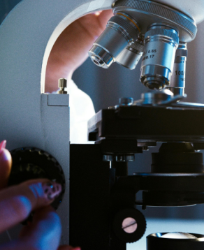 ABOUT BENZ & BILL COMPANY